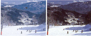 スノーゴーグルのスキー、スノーボードどきのレンズは偏光レンズ仕様をお奨めします。
