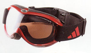 紫外線、青色光などの雪上での眼に対する保護にスノーゴーグルを装用することが大切。